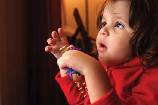 restricted interest and repetitive behavior 1